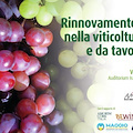 Bari, rinnovamento varietale al centro di un convegno a Rutigliano