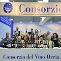 Orcia Doc: il Consorzio porta il territorio a Vinitaly