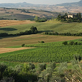Orcia Wine Festival: i vini dell'Orcia DOC in vetrina tra arte e paesaggi "Unesco" 