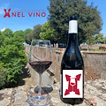Saranno Famosi nel Vino: a Siena la prima “passerella” per cantine e etichette emergenti