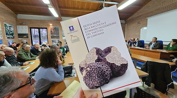 Tartufo in Campania: l’innovativo software per la gestione del comparto dei funghi e dei tartufi realizzato dall’Osservatorio dell’Appennino Meridionale per la Regione Campania