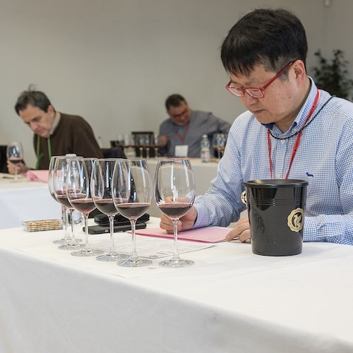 Anteprima del Vino Nobile di Montepulciano: dal 18 al 20 febbraio torna il grande appuntamento per presentare le ultime annate in commercio