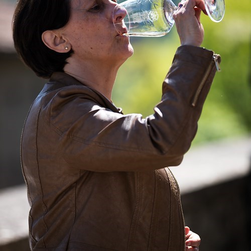 Emilia Wine Experience, autunno caldo a suon di eccellenze