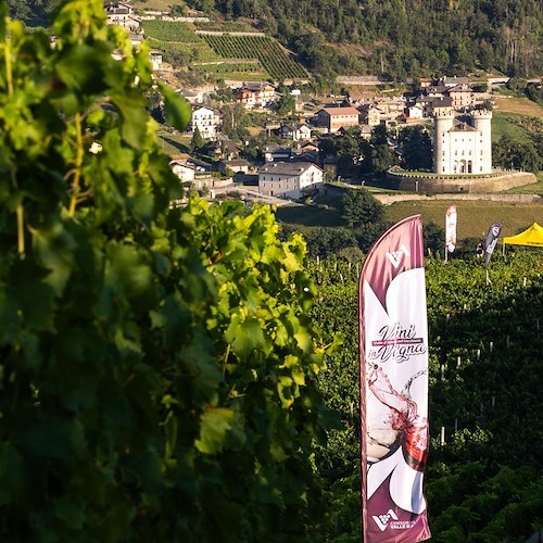 Il Consorzio Vini Valle d’Aosta conferma il proprio impegno nella promozione del territorio e dei suoi vini: per la prossima estate in programma due eventi dedicati all’enoturismo